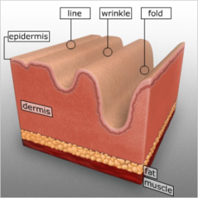 hyaluronic acid