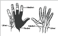Figure1