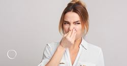Is "BBL smell" real? Here's what you need to know