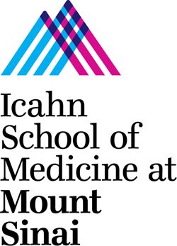 Program Peek: Mount Sinai Plastic and Reconstructive Surgery