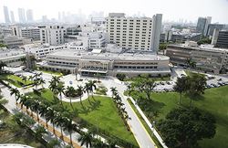 Program Peek: University of Miami Division of Plastic Surgery