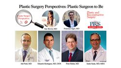 Plastic Surgery Perspectives: Plastic surgeon to be